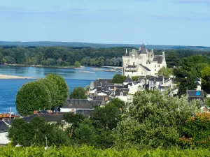 Image of Le Logis des Abbesses - A hanging garden on the Loire.