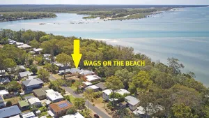 Image of Wags On The Beach - Toogoom - Beachfront- 4BR-Aircon- Pets OK