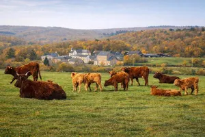 Image of Luxury gîte – For families & friends, up to 14 adults + baby