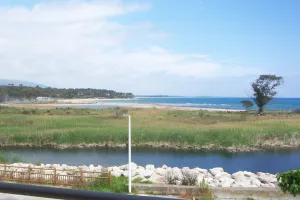 Image of PALMERAIE 31