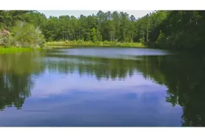Image of A Country Retreat!