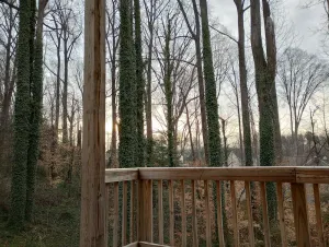 Image of Roomy Studio Basment Apartment - 5 Min to Downtown
