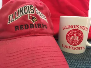Image of A RedBird Experience