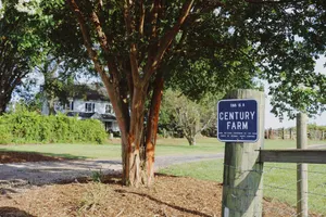 Image of Historic Farm House on 400 Acre Cattle Farm near Clemson, SC