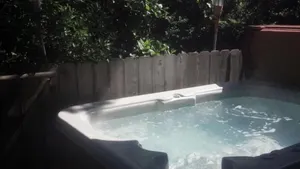 Image of Hot Tub, 1 bed, 1bath, dog's ok, walk to beach -'Sea Star Spa'