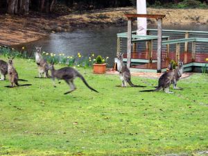 Image of The Retreat at Amryhouse