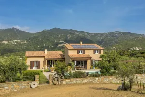 Image of 2 villas with swimming pool in an olive grove in Corsica: relaxation and serenity ...