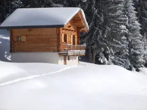 Image of chalet - 3 rooms - 4\/6 persons