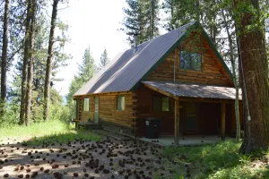 Image of Woodland cabin with screened porch & meadow views - near town, with internet