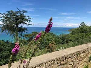Image of House \"La Terrasse de Sophie\" sea view in Plougasnou in Finistère