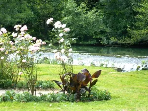 Image of Peace and quiet on a private island in a bucolic setting.