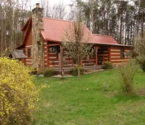 Image of Cozy Country Cabin New: Hot Tub & Outdoor