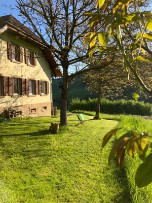 Image of Auszeit im Waldhaus