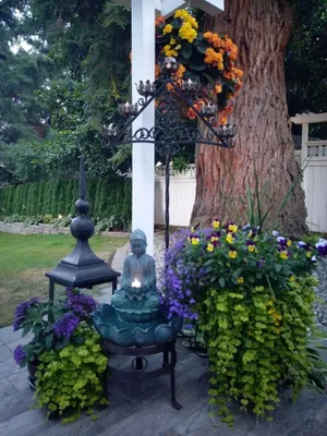 Image of Studio Zen in Kirkland