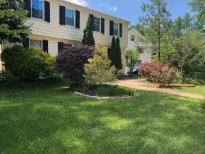 Image of Great Location. Close to about everywhere .Can't beat the value. Check reviews!