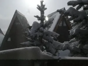 Image of Small chalet ----------