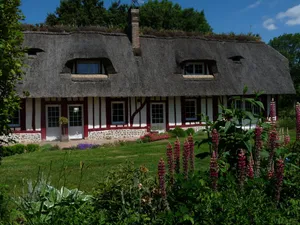 Image of ---- The cottage ---
