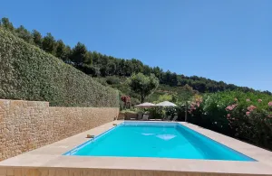 Image of Pretty farmhouse surrounded by vineyards and olive trees will