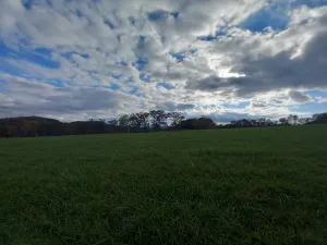 Image of Scenic View - this farm has it all!