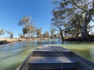 Image of Pet friendly accommodation on the river