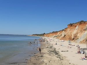 Image of Chalet paisible avec piscine chauffée, proche golfe du Morbihan et plages - FR-1-783-2