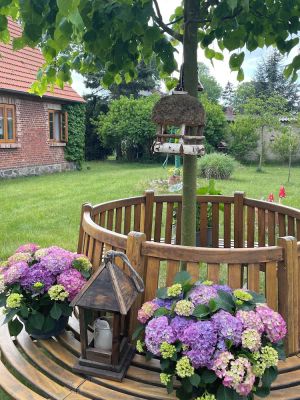 Image of Romantic country house full of character near the Baltic Sea