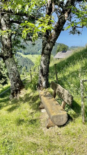 Image of CHALET WITH A CINEMATOGRAPHIC VIEW