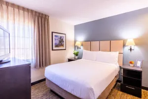 Image of Indulge in Home Like Comfort! Spacious 1BR w\/ Full Kitchen! Pets are Welcome