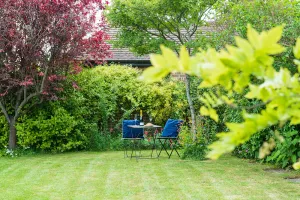 Image of Luxurious Lewes house and garden *stunning views *