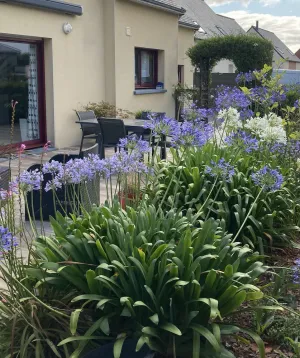 Image of RECENT HOUSE 130 M2 WITH GARDEN NEAR LANDERNEAU 6 PERS.