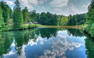 Image of The Lakeside Cabin at Misty Morning Lake. Explore 35 Acres and a Private Lake!