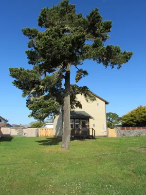 Image of Rock and Wave Cottage At The Beach