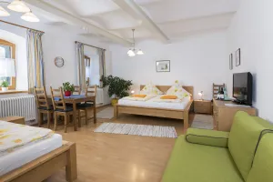 Image of 45 m² apartment on the south side with restored vaulted ceiling