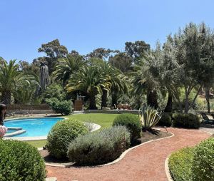 Image of Relax under the trees in a hidden area of San Diego