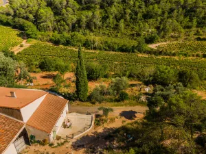 Image of In the heart of the Saint Chinan vineyard, large gîte for 2 people