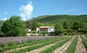 Image of Mas quiet location for 8 people with private pool