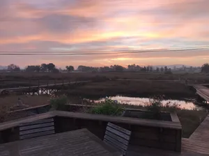 Image of Unique home on tidal creek and marsh.