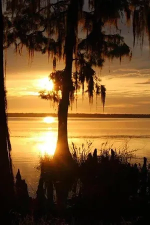 Image of Bring your Boat to our River House and enjoy the beautiful St Johns River.