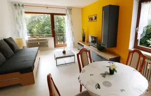 Image of Fewo Sunneschii, Höchenschwand, Dorf am Himmel, Sauna im Haus