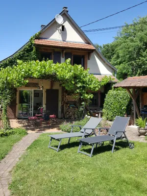 Image of La Colline aux Oiseaux