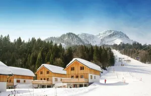 Image of großes Ferienhaus Altaussee