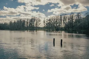 Image of 3bdr 2bth Lake Home close to all
