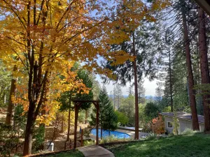 Image of Forest retreat w\/ Pool, Game Room, EV charger. Pet friendly!