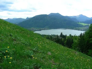 Image of Bergerhof Tegernsee - Bergerhof Hohenlehen vacation apartment