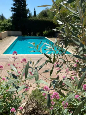 Image of Lovely 2-room apartment in the heart of Esterel with swimming pool