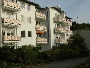 Image of Lachmoewe