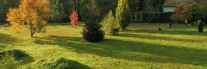 Image of In the Pays d'Olmes