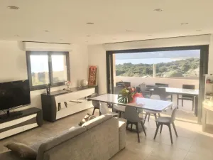 Image of LARGE DUPLEX APARTMENT, panoramic view. quiet.