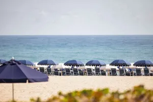 Image of The Seagate