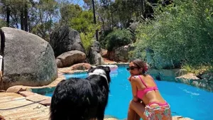 Image of Bush Escape: Panoramic Views + Large Dog Enclosure